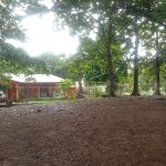 ¡Misión Cumplida! Retiran toneladas de basura en Masiva Jornada de…